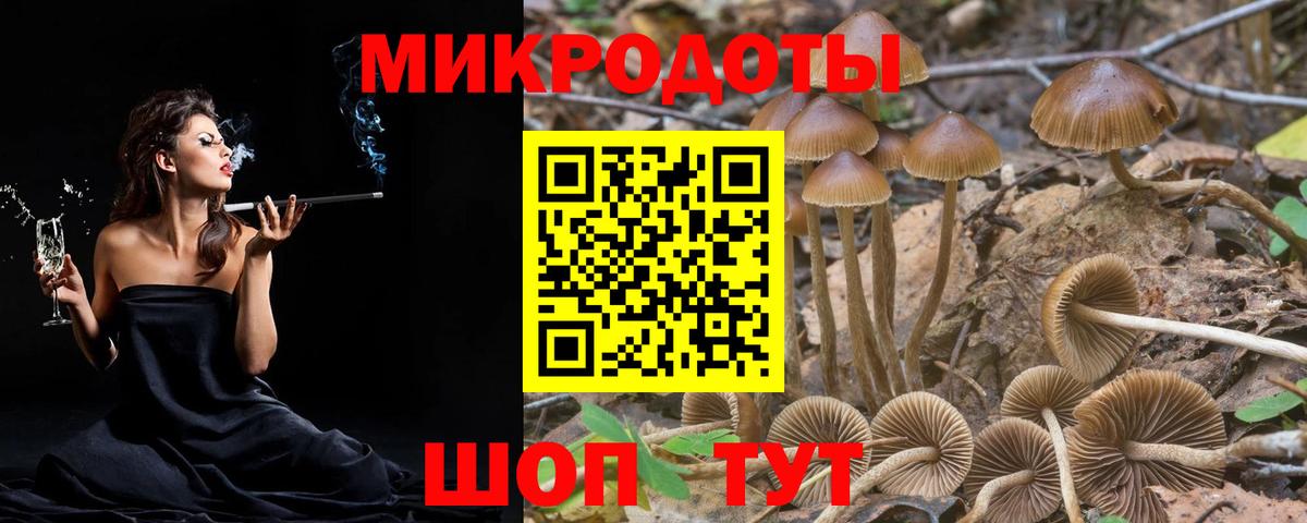Псилоцибиновые грибы GOLDEN TEACHER Брянск